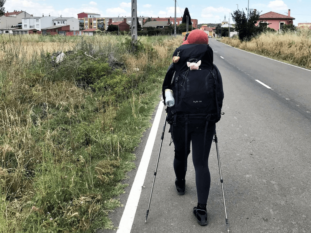 Day19|Calzadilla de los Hermanillos → Mansilla de las Mulas