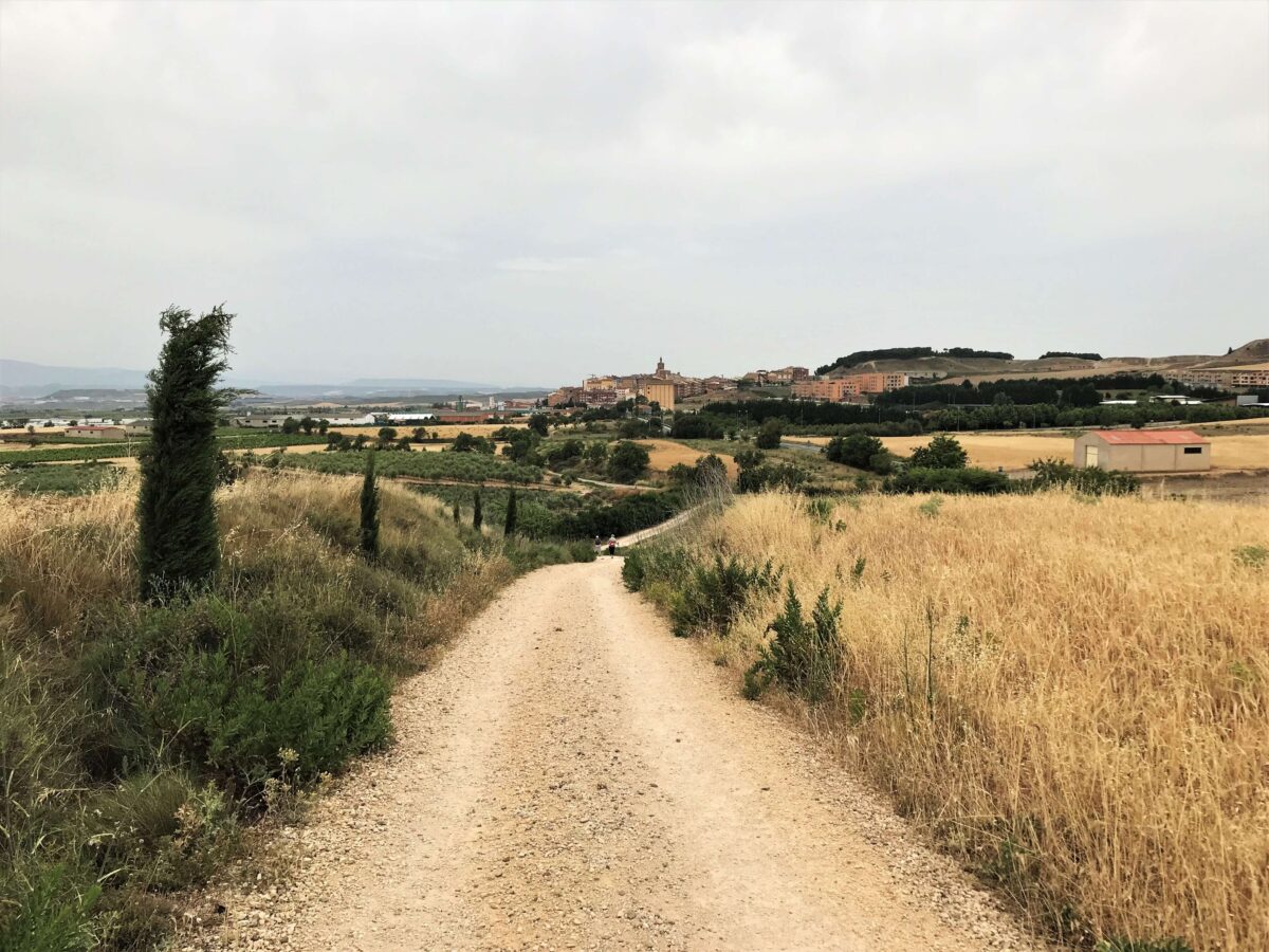 Day 7｜Los Arcos → Logrono