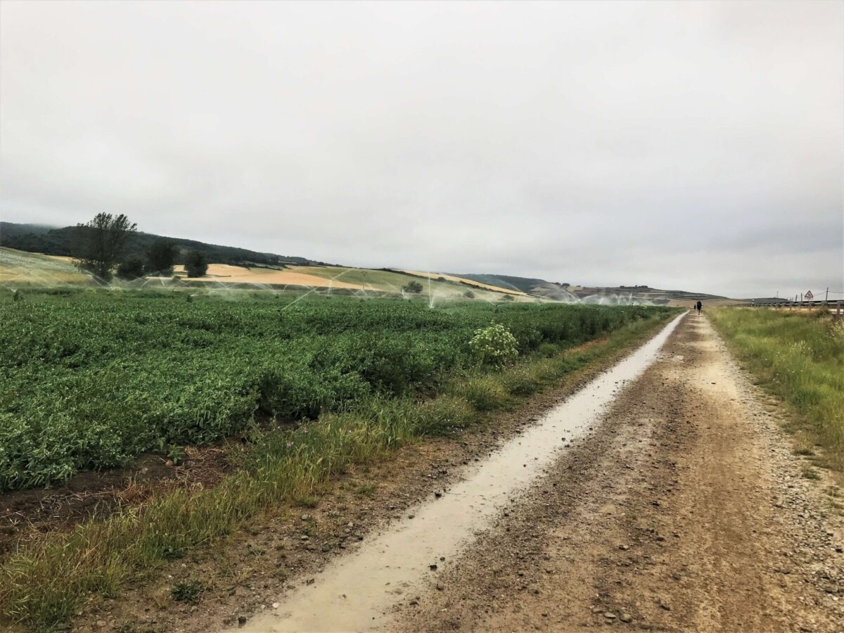 朝聖日記 Day11｜Granon → Villafranca Montes De Oca 
