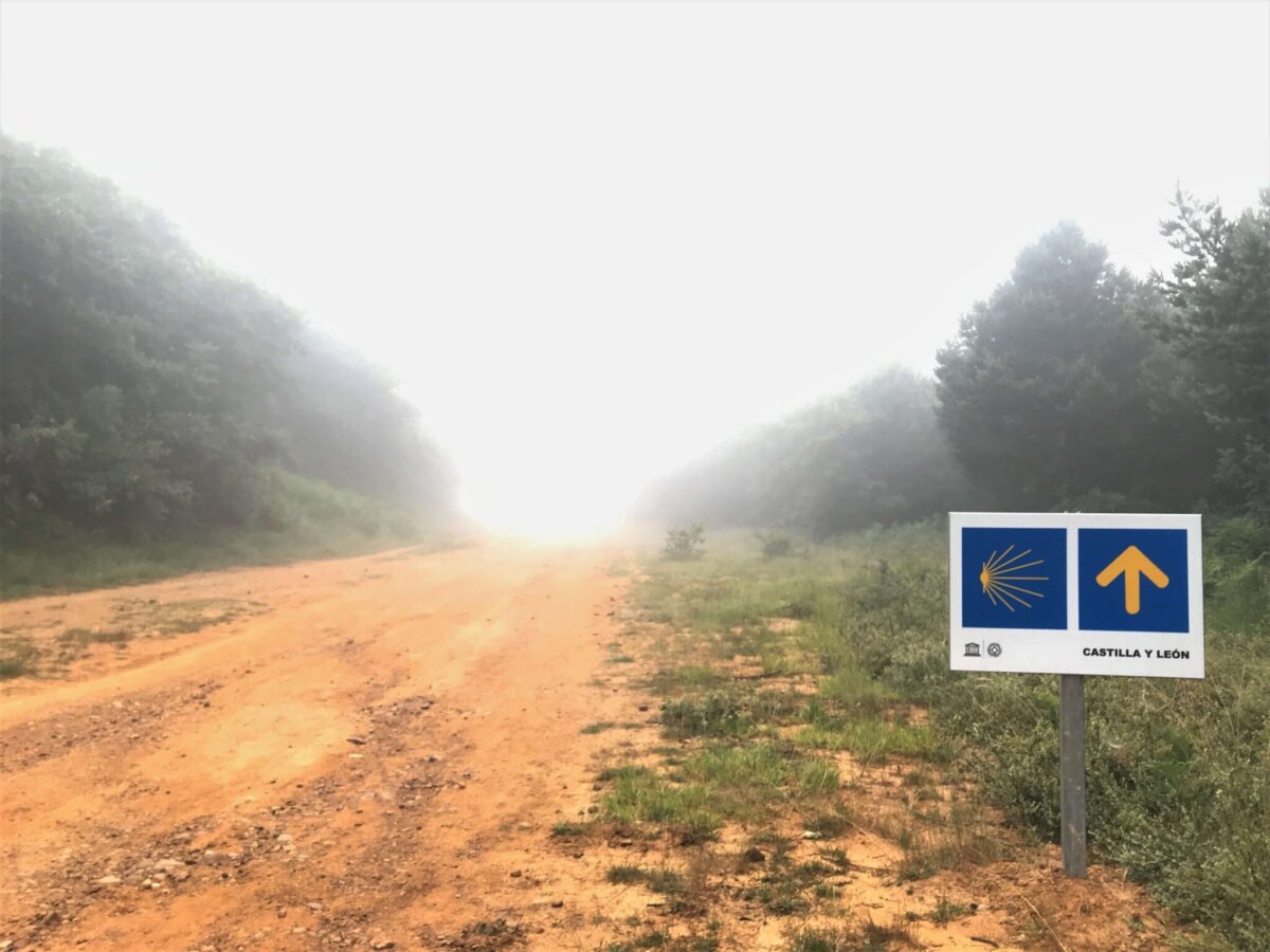 朝聖日記 Day12｜Villafranca Montes De Oca → Cardenuela Riopico
