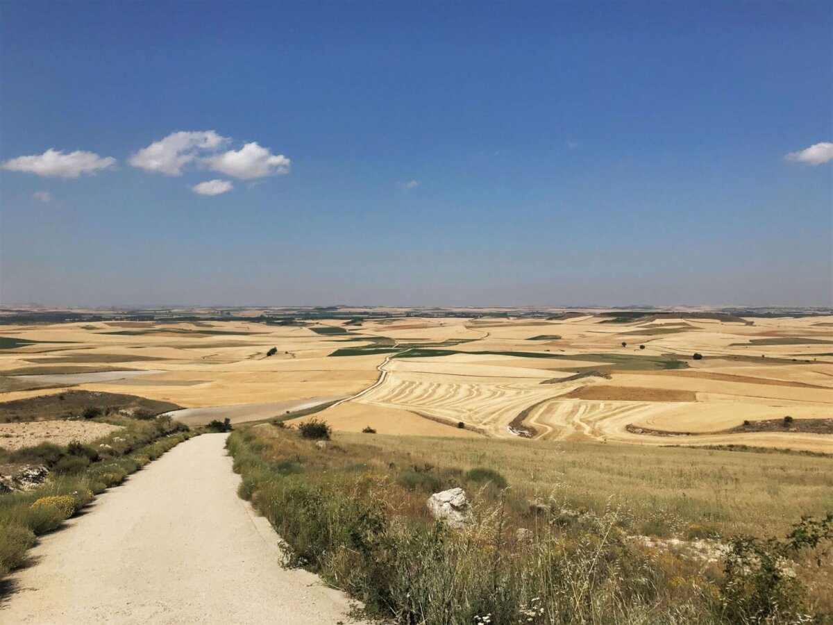 朝聖日記 Day15｜Hontanas → Boadilla del Camino