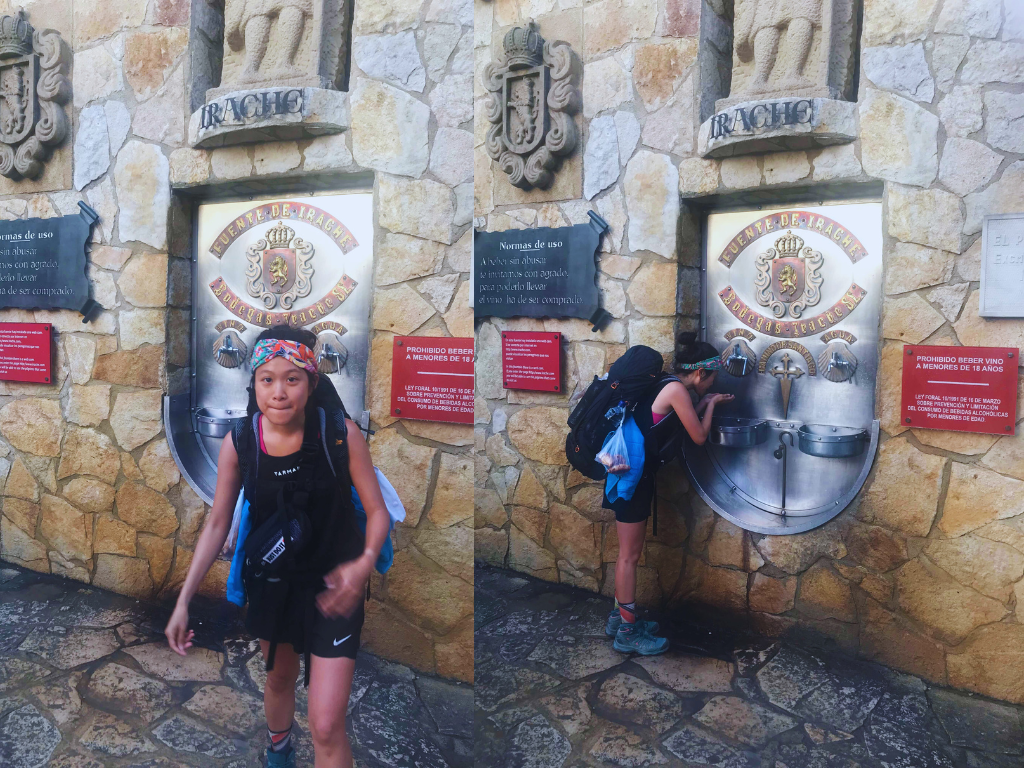 Fuente de Vino