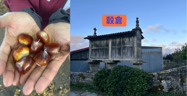 Palas de Rei 到 Melide