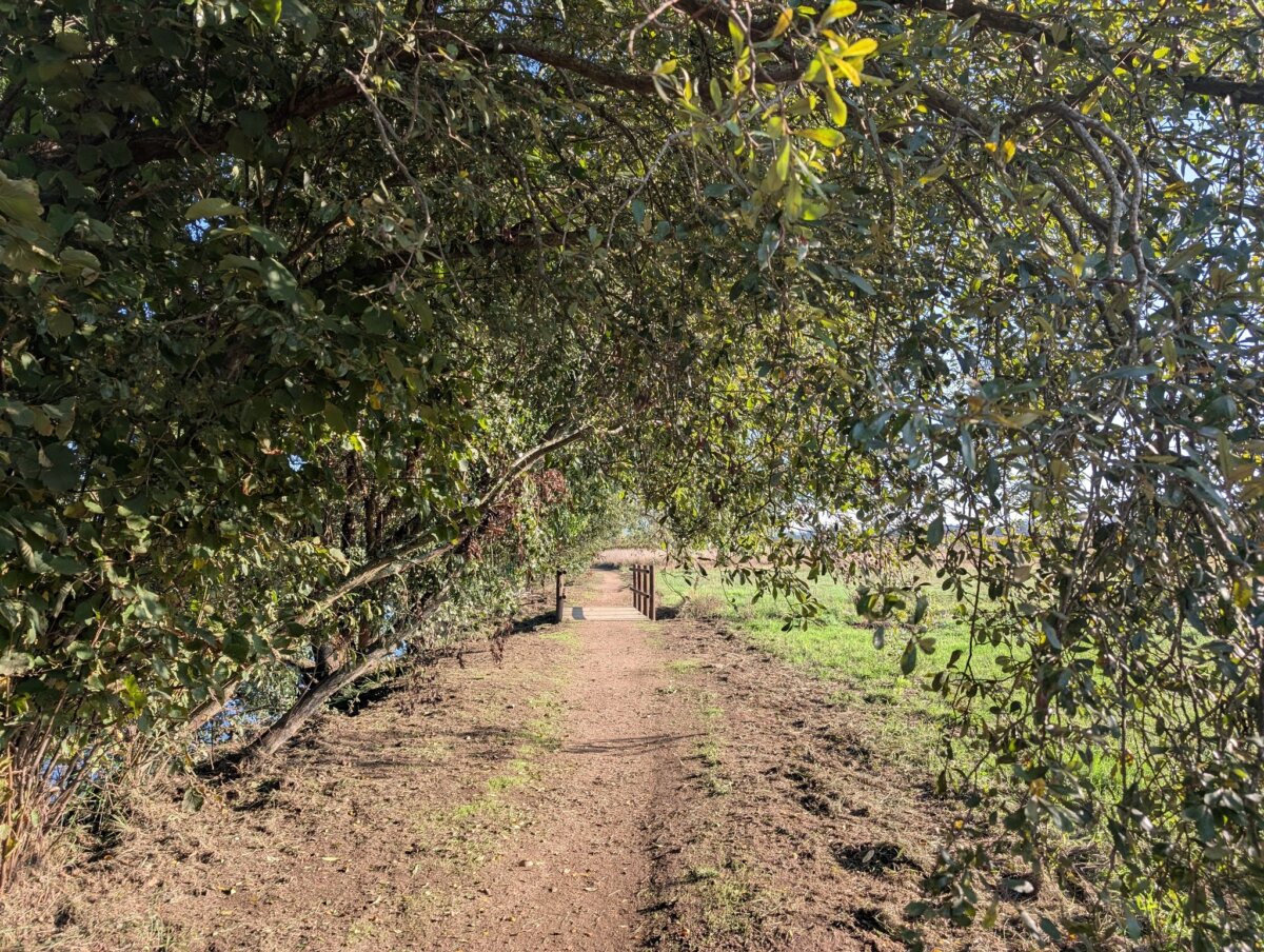 葡萄牙之路｜中央線 + 靈性之路 