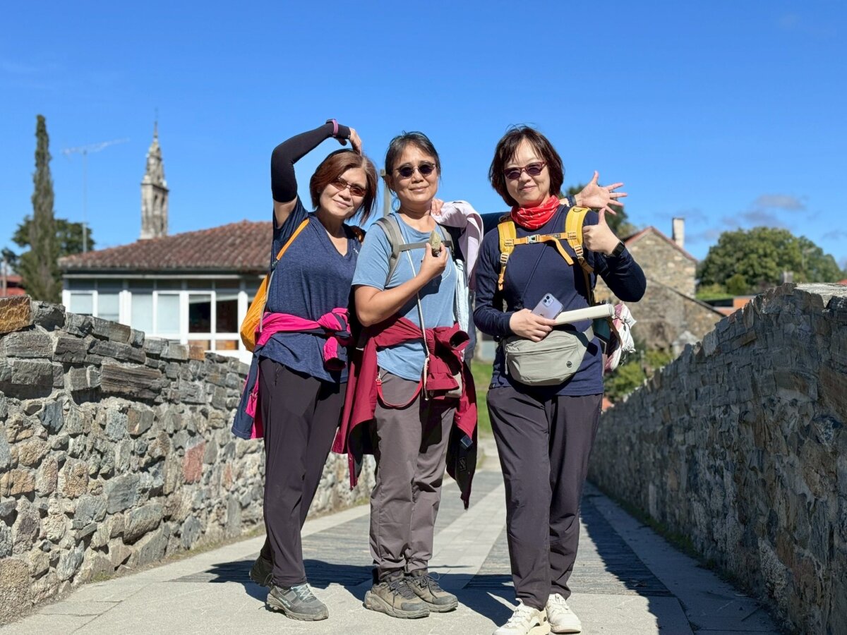 Palas de Rei 到 Melide