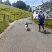 朝聖之路｜規劃與交通資訊_15：法國之路徒友日誌