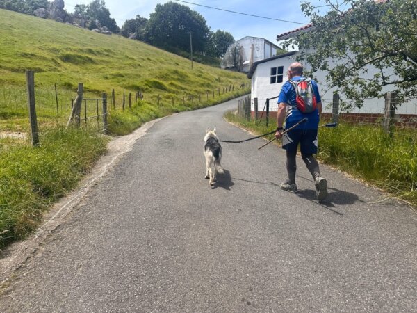 朝聖之路｜規劃與交通資訊_15：法國之路徒友日誌