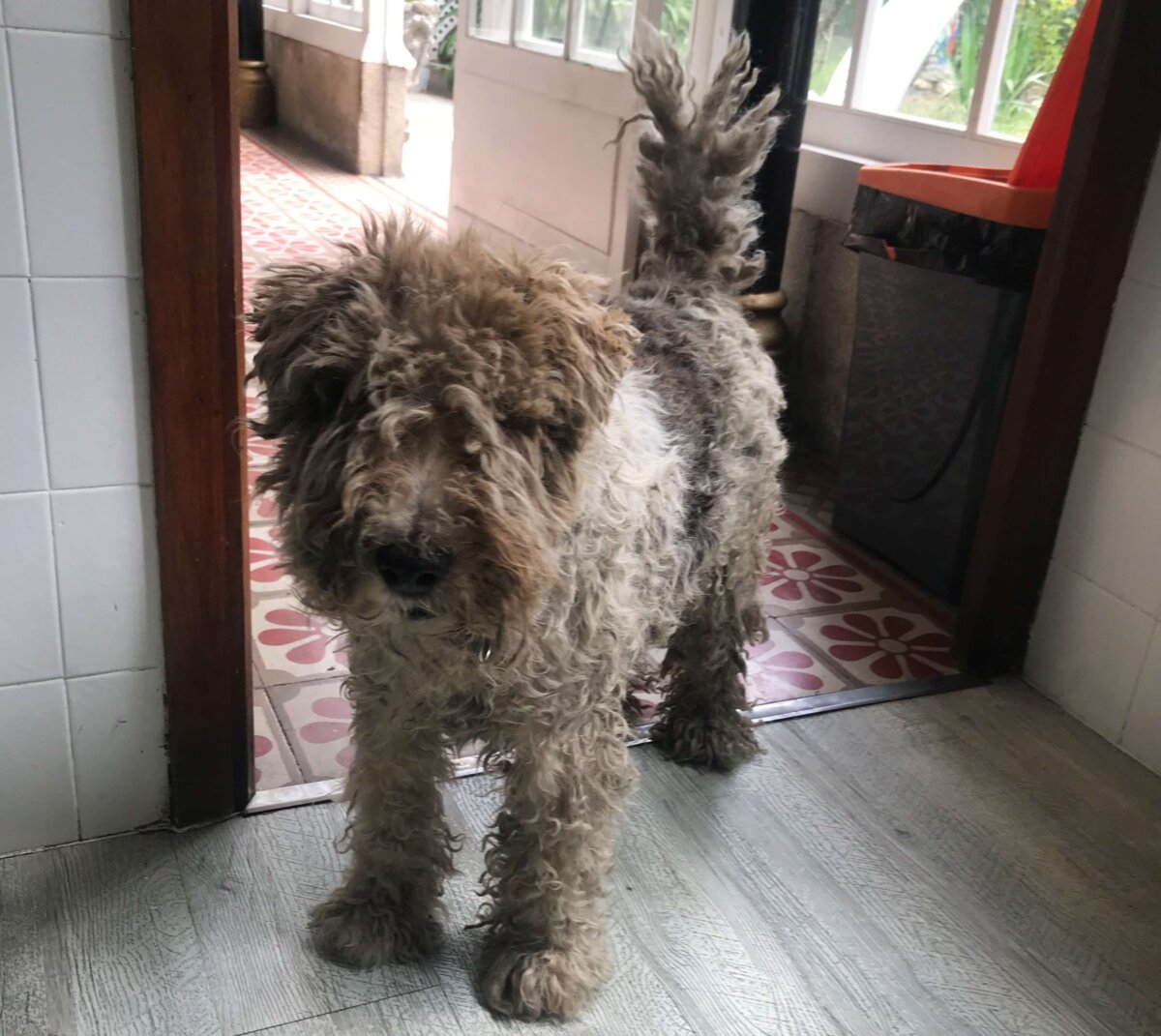  Albergue De Don Álvaro