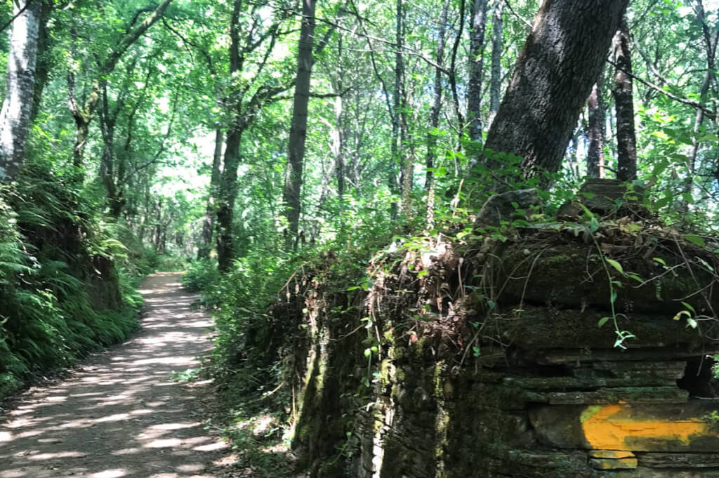 Gonzar：意外美味的朝聖晚餐