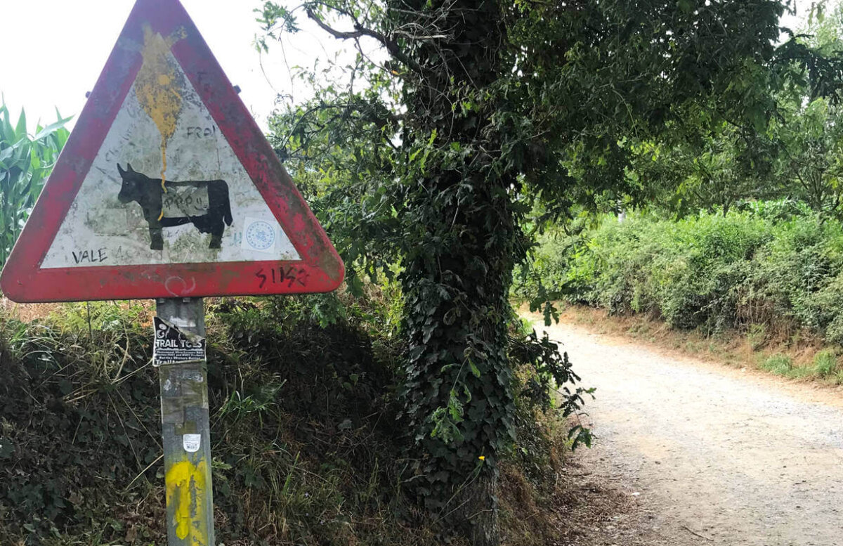 Ponte Campana → A Salceda