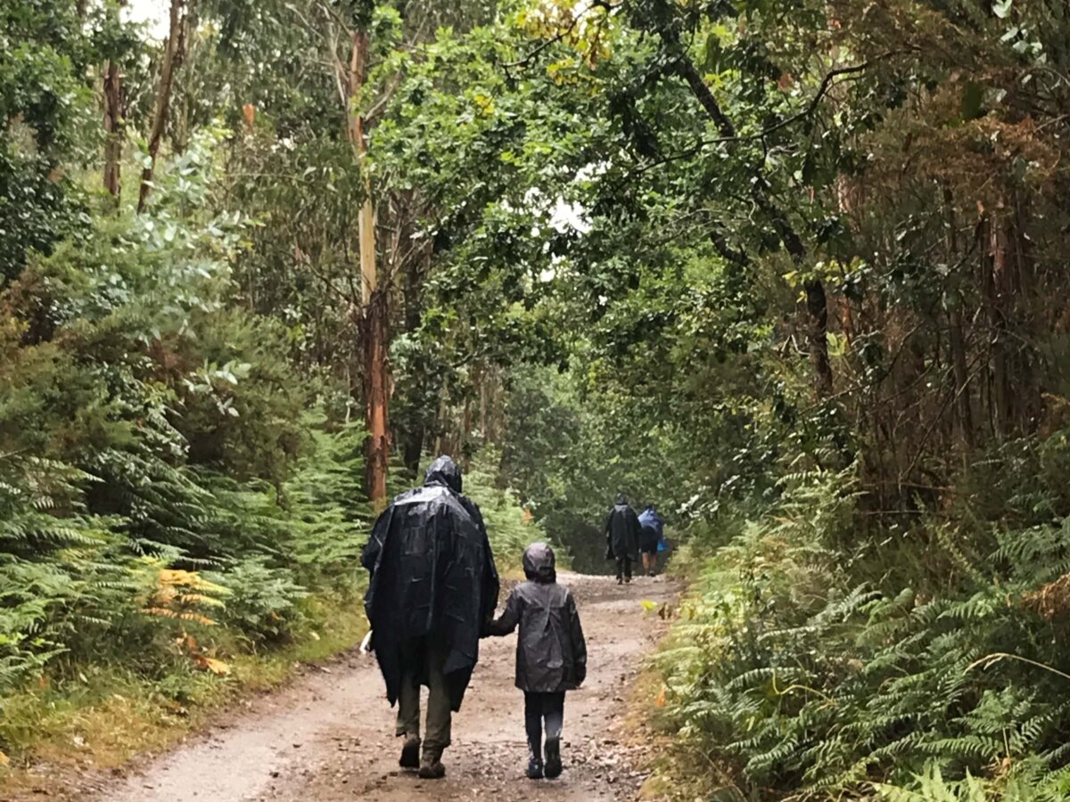 Day 37｜ A Salceda → Santiago