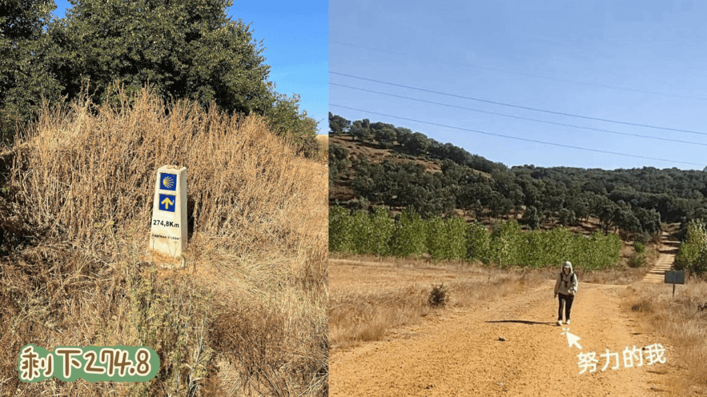 朝聖日記:Day 31|0916