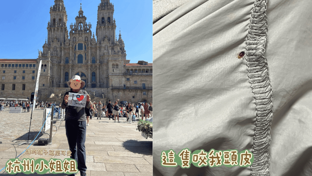 Albergue parroquial Aposto Santiago 床蟲