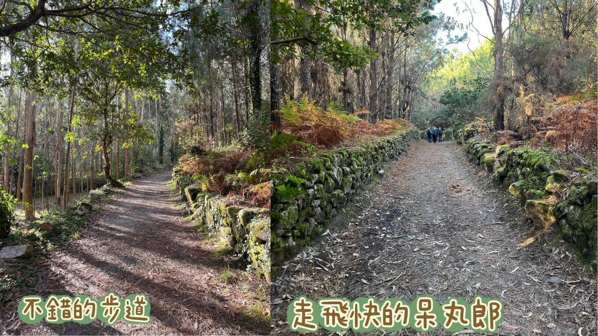 朝聖日記:Day 47+7|1009