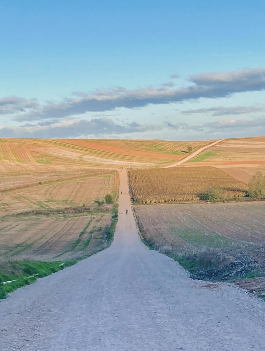 camino-frances-kate-countdown-23-days