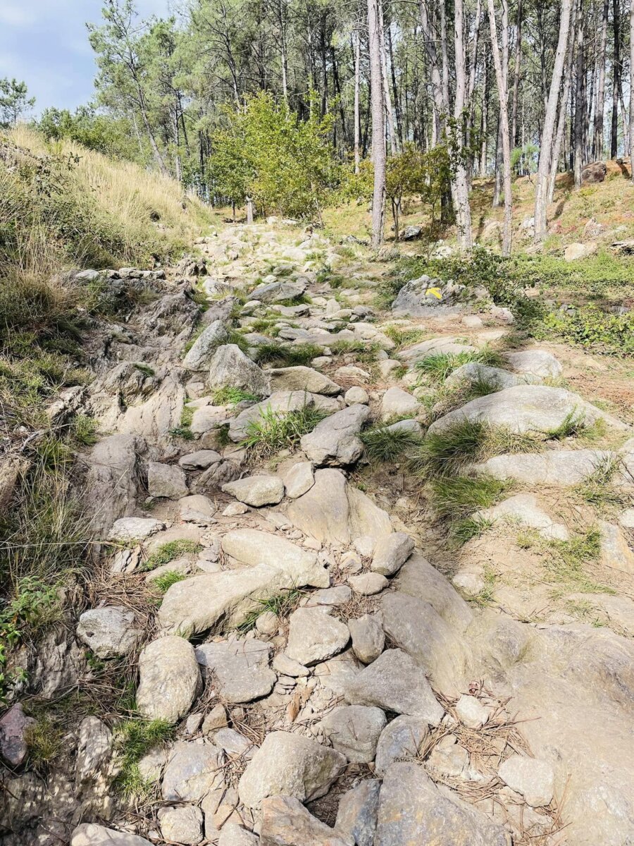 葡萄牙之路 Ponte de Lima 到 Rubiães 之間的山林亂石路段