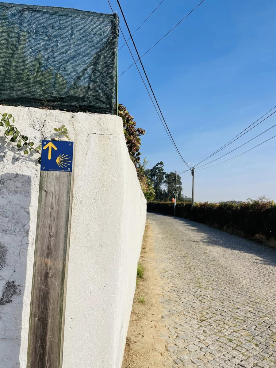 葡萄牙之路白牆上的黃箭頭與扇貝路標,前方是石板小路