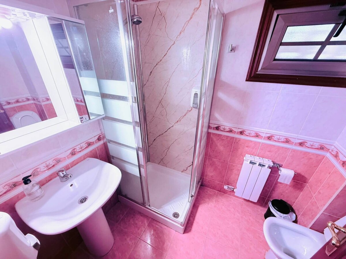 Apartamentos Camino Inglés 的共用衛浴，粉紅色磁磚，洗手台和玻璃淋浴間